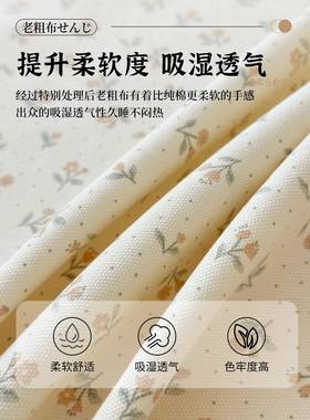 SY202505爱熊加厚全棉老粗可布床单单件纯棉被人笠学生宿舍枕床套