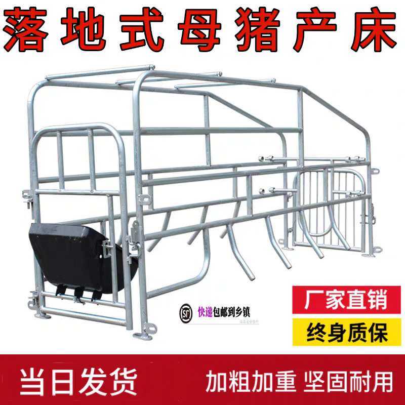 母猪产床 落地位产保两用养殖设保育栏定位栏产床猪笼猪栏猪产床