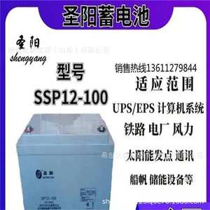 圣阳蓄电池6GFM-100铅酸免维护蓄电池12V100AH电力核电站水电站