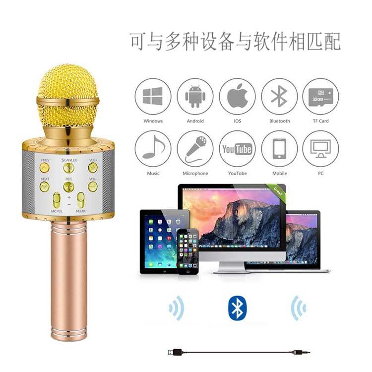 WS858L带灯话筒音响一体无线蓝牙麦克风家庭k歌宝手机k歌手持音箱