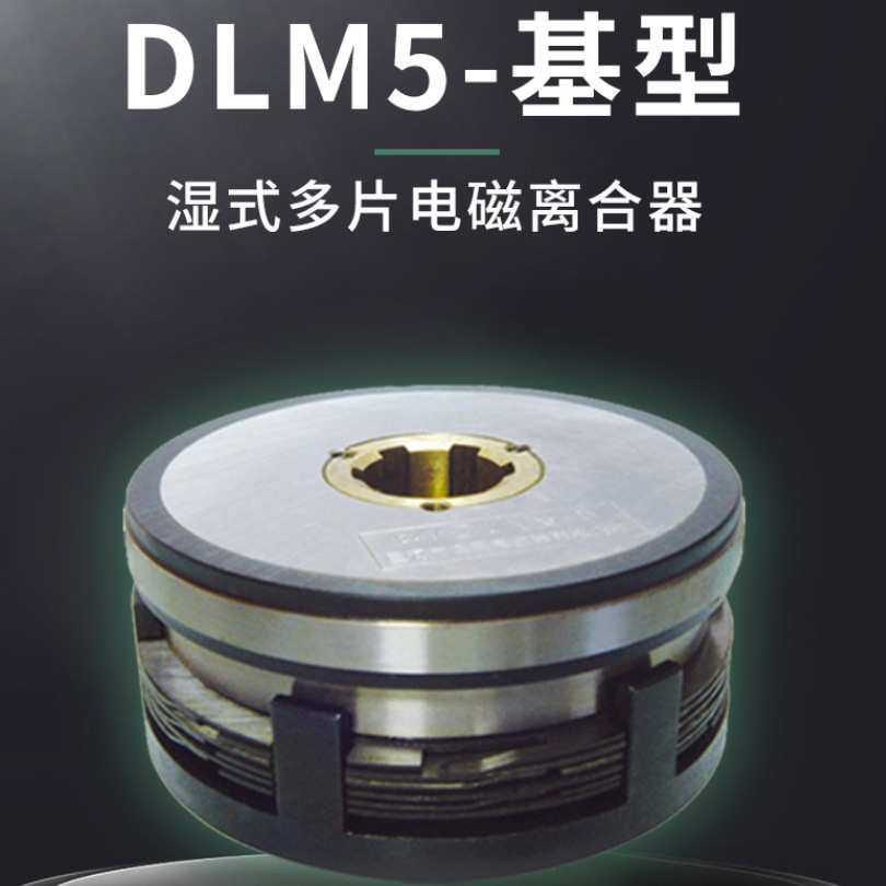 DLM5-5型/DLM5C型湿式多片电磁离合器/多片摩擦离合器工厂/DC24V