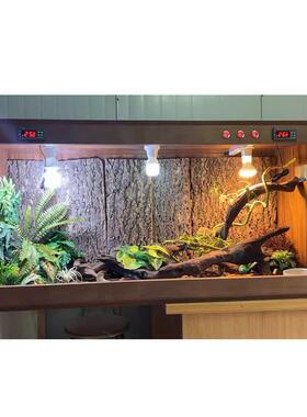 蜥蜴半水龟守宫爬宠箱子乌龟饲养缸恒温定时造景加湿远程控制