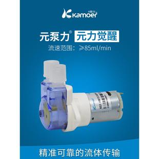 蠕动泵12v微型抽水泵电动泵头自吸泵定量水泵迷你齿轮小泵
