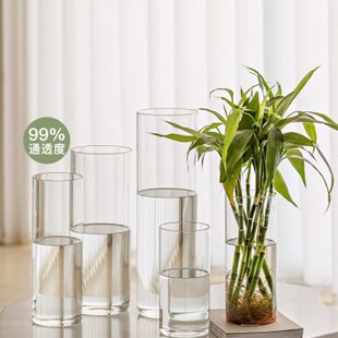 富贵竹专用花瓶摆件客厅插花透明玻璃高级感水养雪柳马醉木落地大