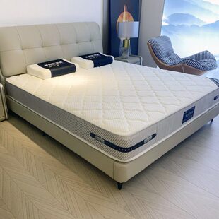 英特森席梦思卧室床垫乳胶独立袋装 弹簧静音软硬两用家用床垫B209