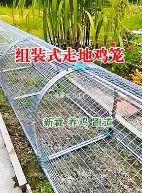 庭走地网鸡笼跑道养鸡隧道笼子农场溜户外铁达鸡笼子院农家用KKZ