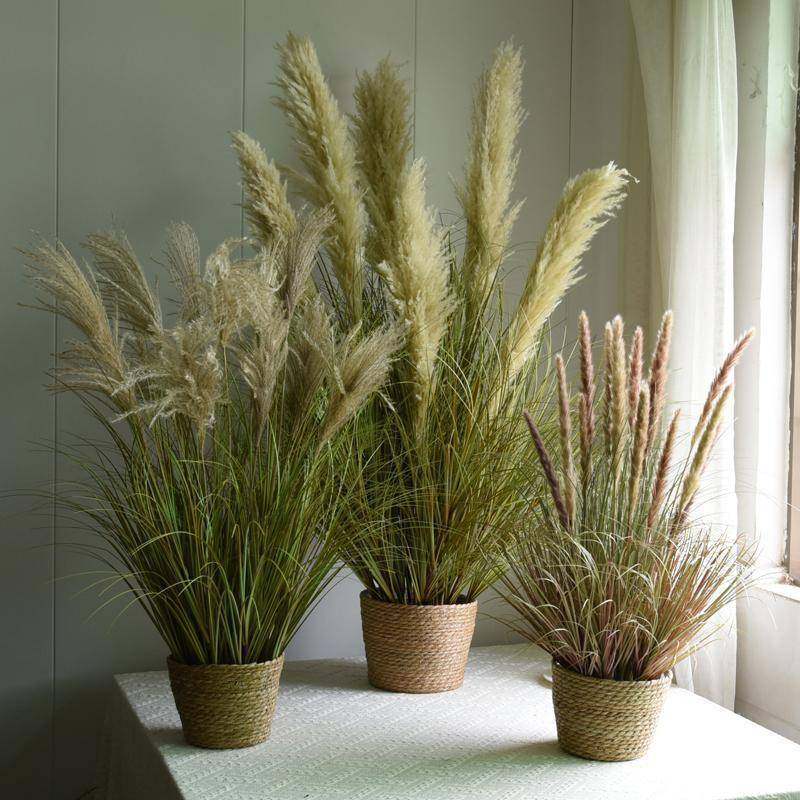 草芦苇芦苇花摆造设假花假树天然风LOG干干绿植摆件景