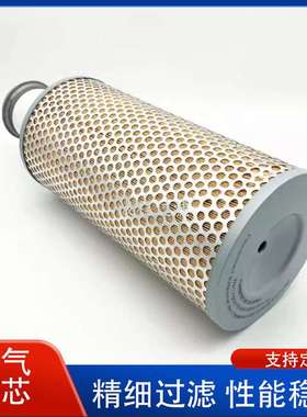 螺杆空压机配件C24650/1 AF4060 P181137 1619279900空气滤芯