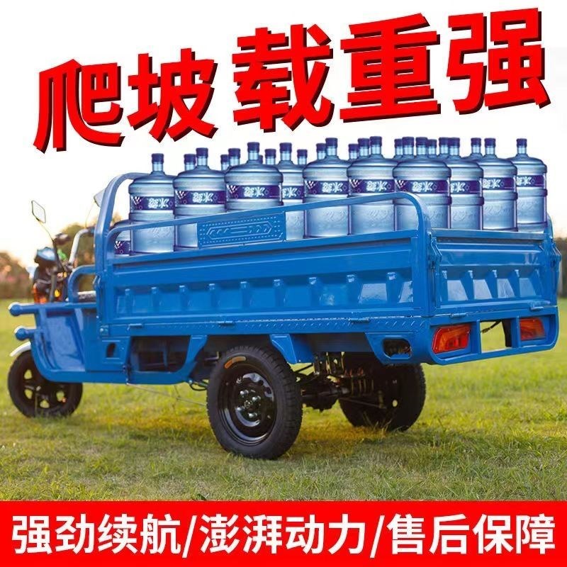 电动三轮车成人货运拉货载重王z快递爬坡山区代步车农用摆摊加本