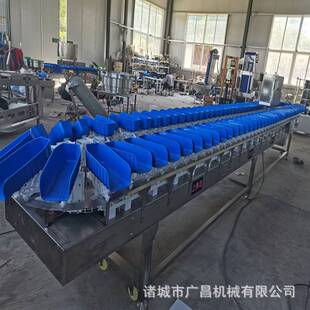 智能选果机全自动称重分拣机水果人参鸡爪咸蛋黄分级秤重量分选机