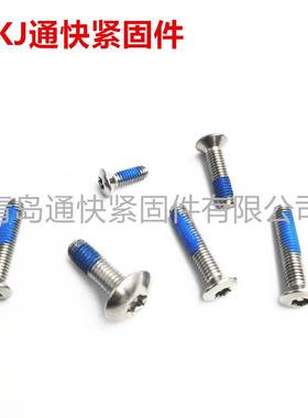 ISO 14581梅花槽沉头螺钉 不锈钢梅花沉头带柱防盗螺钉 螺丝定 做