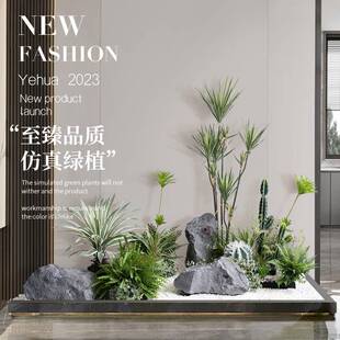 仿真仙人掌造景沙生植物景观铁树盆栽石头组合玄关极简风花槽软装