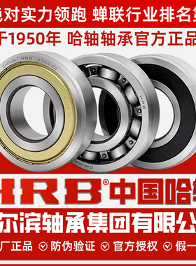 HRB哈尔滨轴承集团 6220 6221 6222 6224 6226 - ZZ 2RZ哈轴