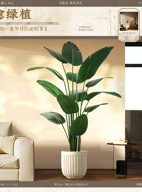 假绿植装饰仿真室内盆栽大型落地C摆件客厅轻奢防真绿色植物旅人