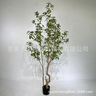 马植醉北植欧12风绿仿真植物马木醉木树吊钟树假绿盆栽马醉木微景