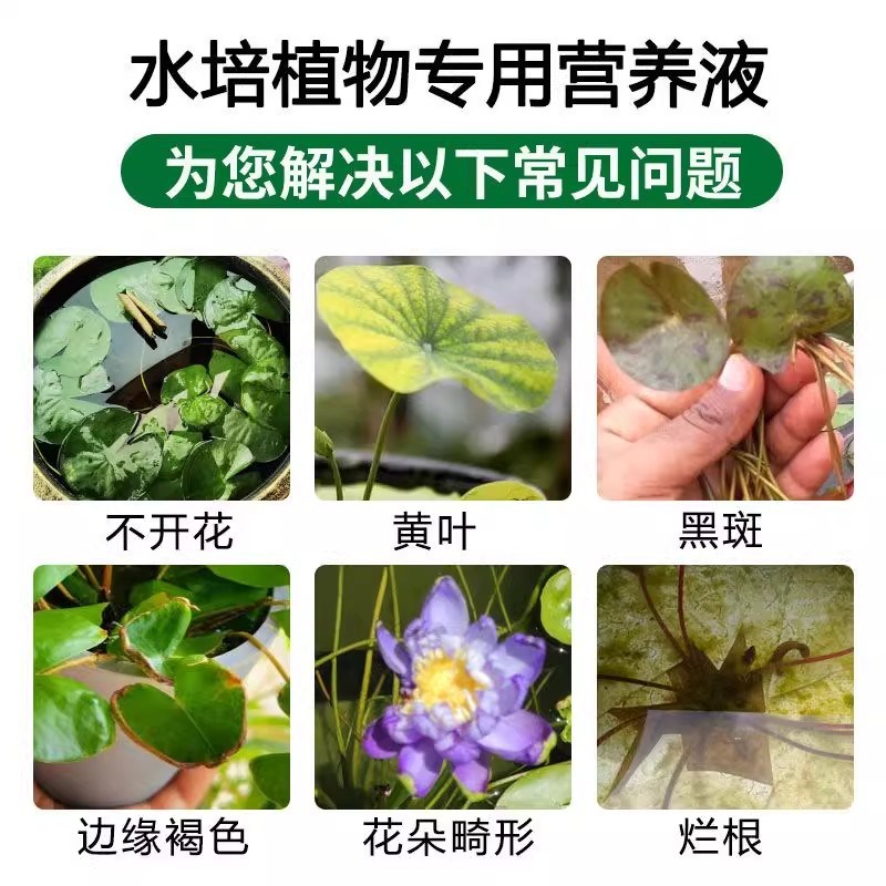 水培植物营养液治黄叶促生根适合各E种花的室内盆栽植物通用型肥
