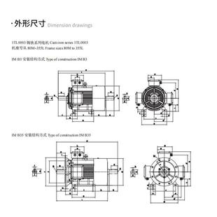 贝得GWS1TL00相03铸铁电机低压三异电步电动0.55机 315kw工业用动
