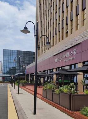 厂家3米4米公园小区灯灯景观灯庭院灯古灯灯笼草坪灯具HCZ灯仿杆