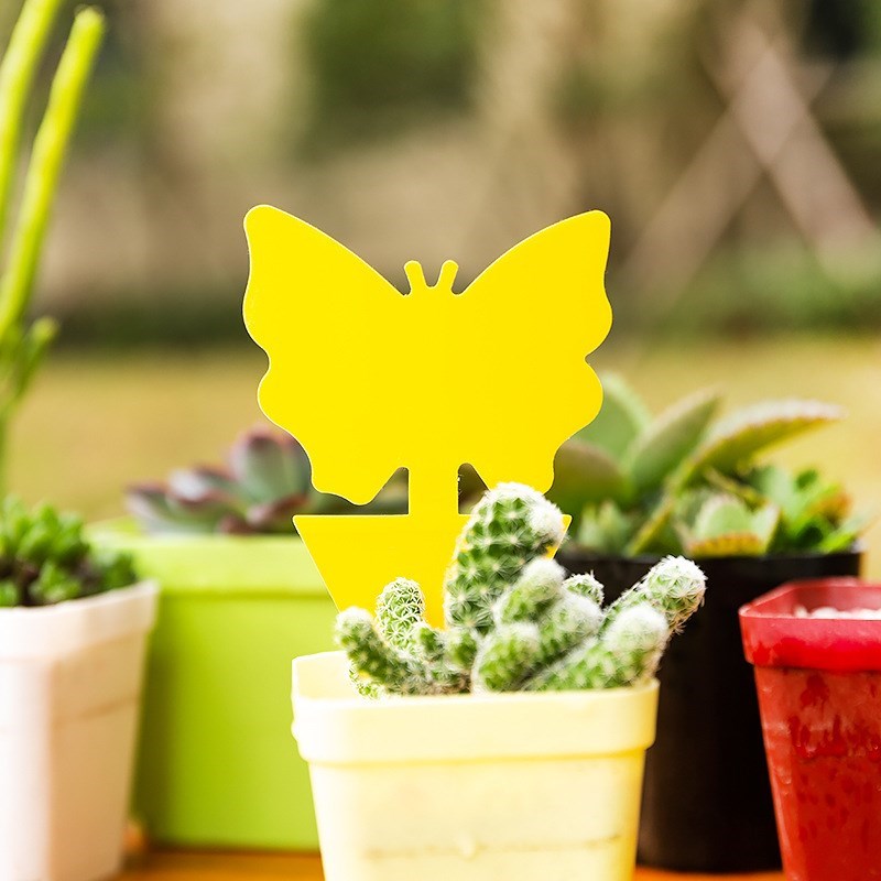 双面粘虫板诱虫板黄n板蓝板厂家大棚茶园果园温室园艺黏虫防虫