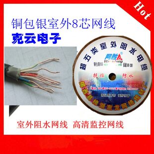 安普室外阻水双绞线 超五类网线 铜包银0.51芯 监控网线 足300米