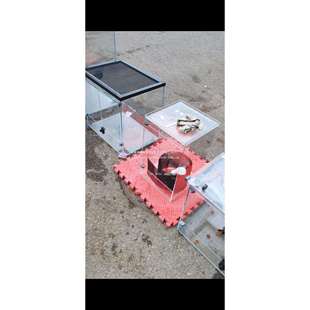 定.制雨林缸植物缸爬宠缸爬宠馆造景水泥塑形无边框雨林缸云雾