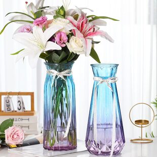 北欧特大号30CM高水培富贵竹玻璃花瓶透明百合插花瓶摆件客厅