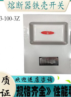 HH3-100A 60A40A160A 200A/3/3Z封闭式负荷铁盒铁壳开关上海长城