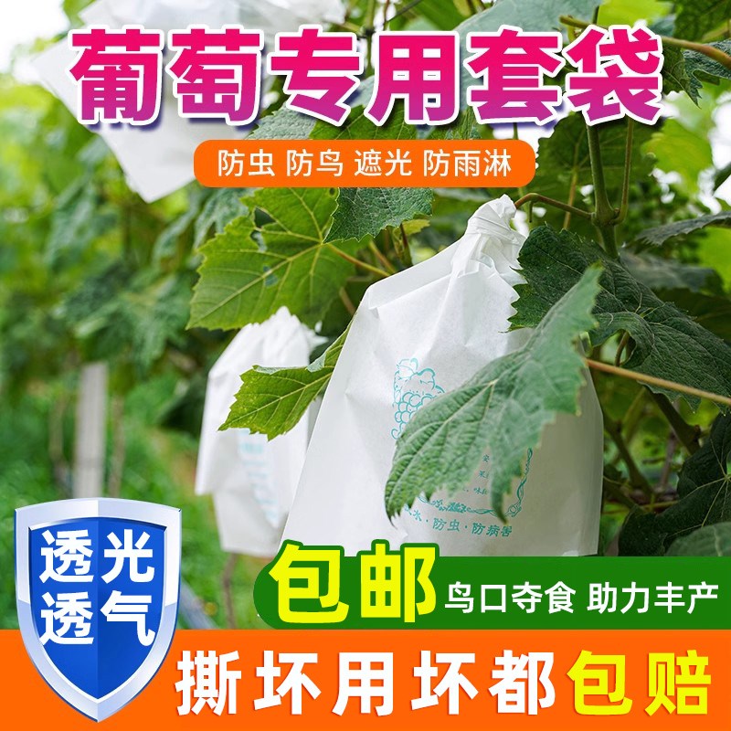 葡萄套袋专用袋防虫n葡萄套育袋葡纸袋葡萄袋果袋袋子防水萄专用