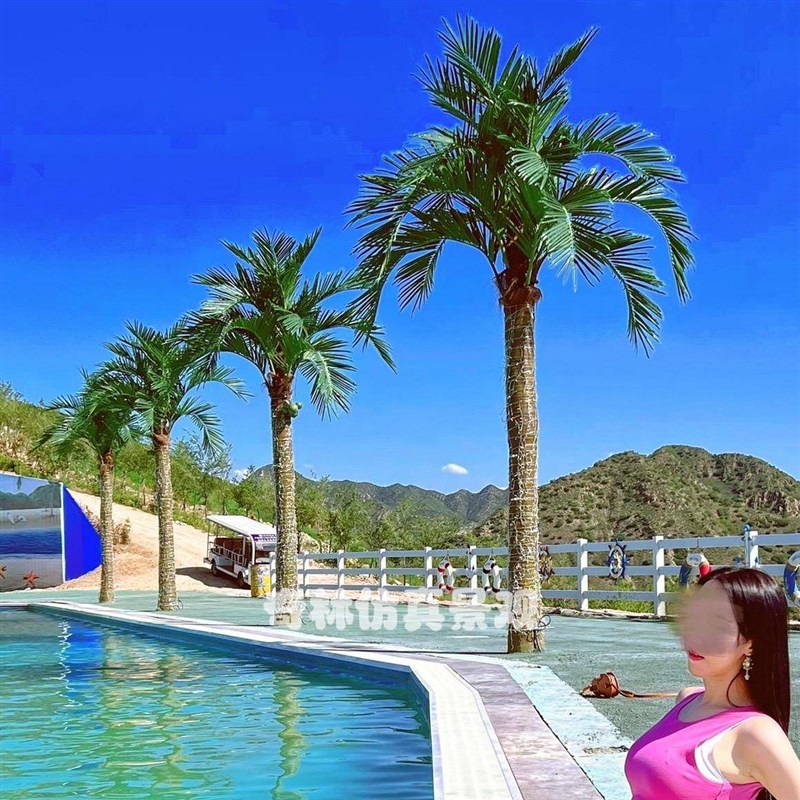 网红彷真椰子树假椰m树户外大王椰玻璃钢大型绿化大树海南风景树