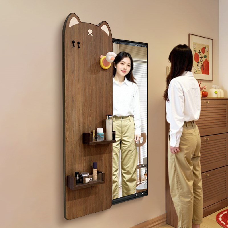 磁吸推拉c镜隐藏式全身镜子画玄关可置物穿衣镜衣帽间可关闭试衣