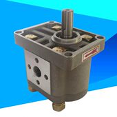 E310 E316 E312 E306 304 E325 CBN E320 齿轮泵CBN E318