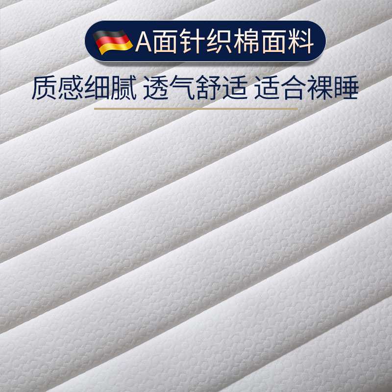乳胶记忆棉床垫软垫加厚海绵垫被家用榻榻米租房专用冬天保暖