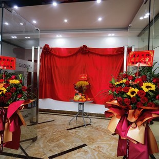揭牌仪式红布花球揭幕开业牌匾剪彩招牌红布料道具架子揭幕布可定