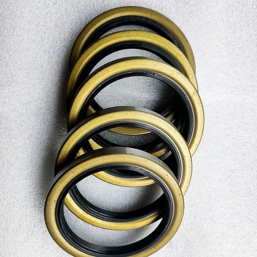 中压油封AP0875-EO TCV19*35*8 28*48*11 TCV AP1563KO