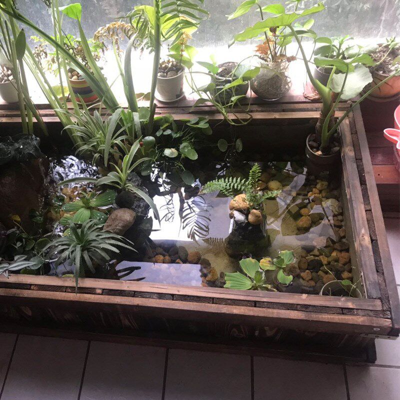 防腐实木帆布防水布鱼池锦鲤地缸箱户外阳台饭店游泳移动造景