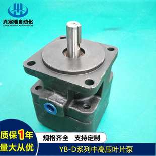 D系列叶片泵YB D80 31.5