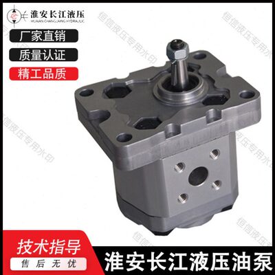 淮安长安齿轮泵CBD1-F201.1/F201.3/F201.6 CBD2-F201.3/F202油泵