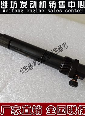 喷油嘴15551940H喷油器 潍柴12M26博杜安6M26船用柴油发动机 油头