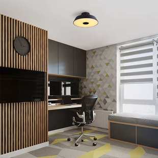 爱斯兰 LED吸顶灯北欧简约客厅卧室灯创意圆形轻奢可调角度灯具