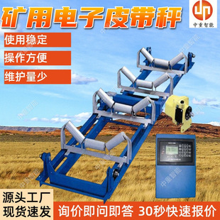 矿用称重皮带秤 ICS-ST电子皮带秤 矿用隔爆兼本安型电子皮带秤