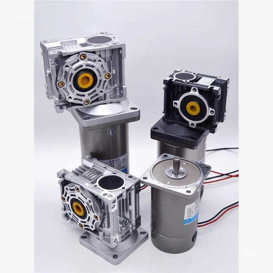 涡轮蜗杆直流电机12v RV30直角轴减速双出轴Dc turbine motor24v
