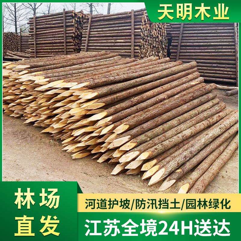 供应松木原木 工地河道治理打桩木 防汛防洪护坡工程支撑木桩
