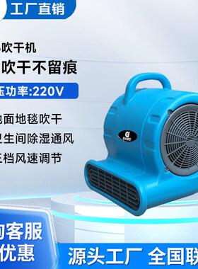商用大功率吹干机酒店商场卫生间地面吹干机除湿干燥鼓风机DJ25