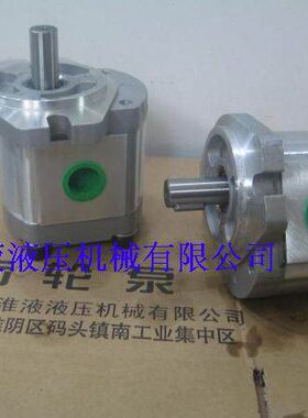 P208/P211/P214/P216/P221RP04DT 等 19.05 轴订做齿轮泵
