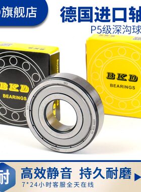 德国BKD深沟球进口轴承62300/62301/62302/62303RS/P5 高速静音