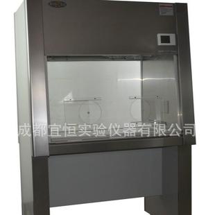 SW-CJ-1S单人双面垂直送风（手套箱式）净化工作台无尘超净工作台