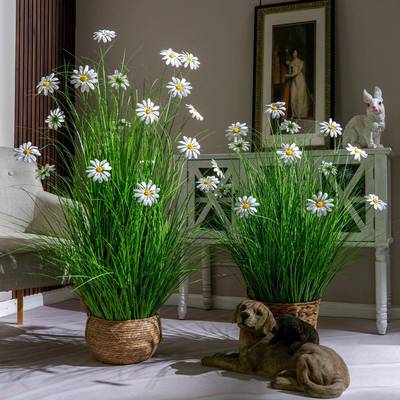 高芦苇草仿真花档假绿树植物盆栽客厅内仿生DHLW植装室饰橱窗造景