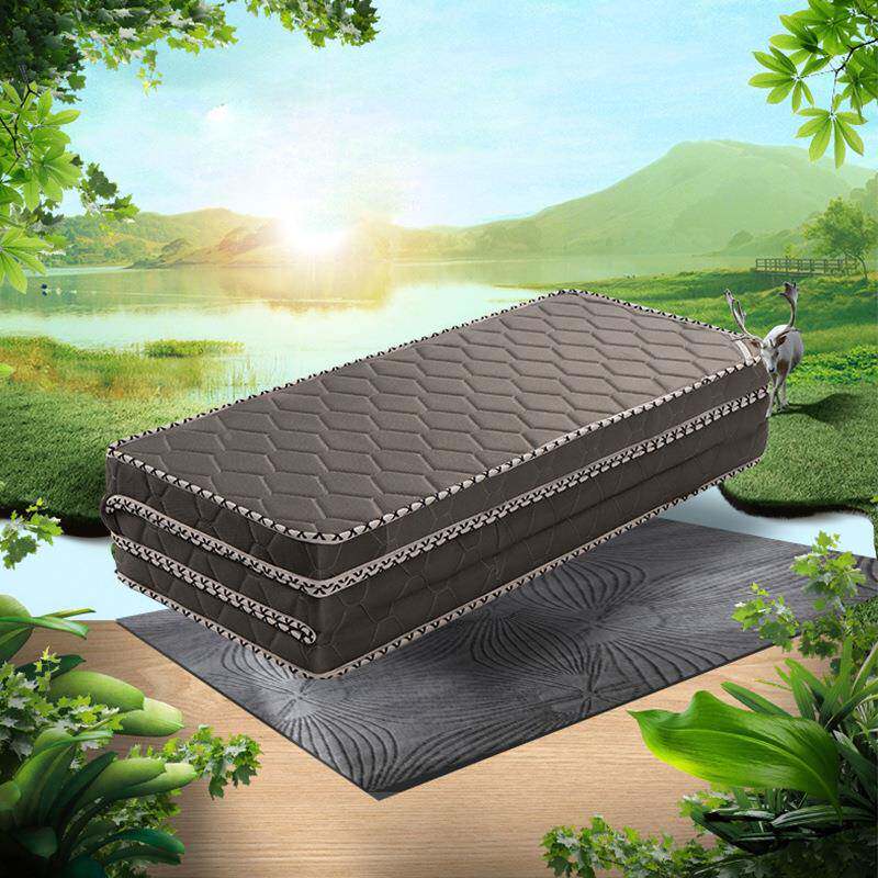 #V椰棕床垫硬垫家用打地铺1.8m.5学生宿舍单人18215.12米棕榈垫子