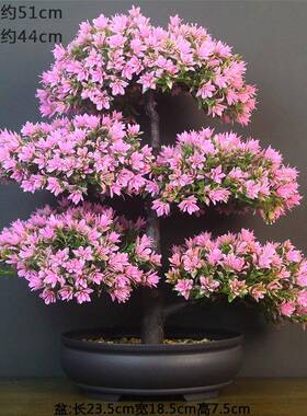 仿花真摆设花绿植造景假内植物盆jd101312栽室景观塑料花艺假客厅