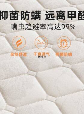 天然棕床垫垫硬子用卧室WSR可家折椰叠10cm厚棕榈床垫租房用单人